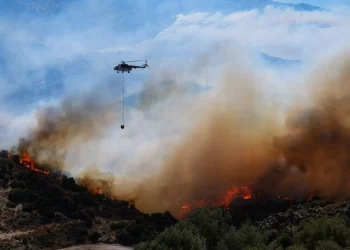 الجيش التركي يدفع بمروحيات لإطفاء حرائق الغابات في 3 ولايات