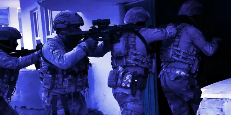 تركيا.. ضبط نضف طن من القنب الهندي في أرتفين