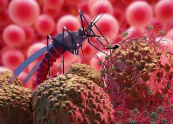 إصابة 21 بفيروس غرب النيل في إسطنبول