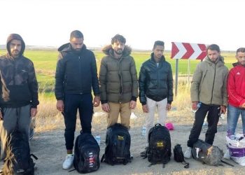 تركيا.. توقيف 83 مهاجرًا غير شرعي في فان