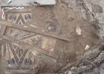 تركيا.. اكتشاف فسيفساء من العصر البيزنطي في أوردو