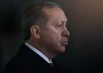 هل طلب أردوغان لقاء كامالا هاريس؟