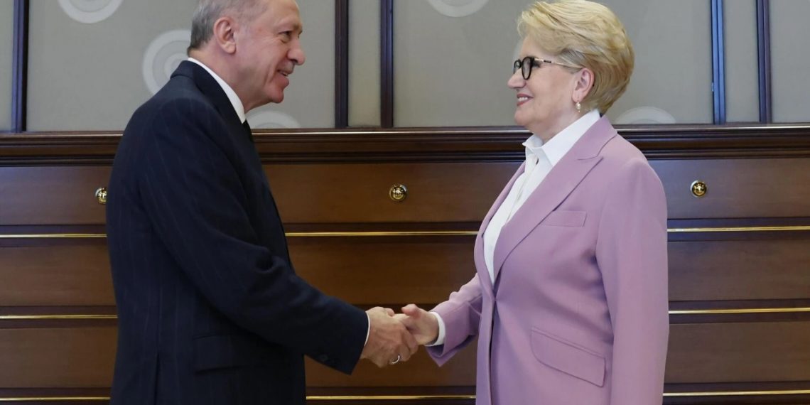 أردوغان يسقط الدعاوى القضائية بحق أكشنار