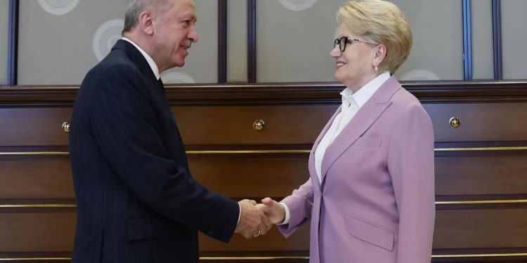 أردوغان يسقط الدعاوى القضائية بحق أكشنار