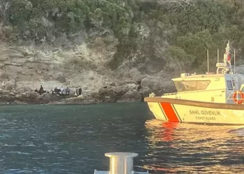 تركيا تعلن توقيف 51 مهاجرًا غير شرعي