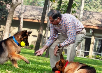 كلب في الهند يرث 91 مليون جنيه استرليني!