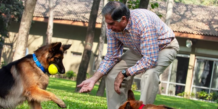 كلب في الهند يرث 91 مليون جنيه استرليني!