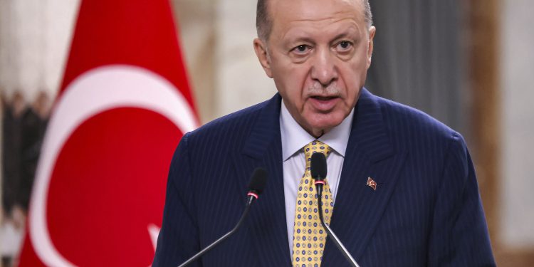 أردوغان يعلق على أول خطاب للأمين العام الجديد لحزب الله