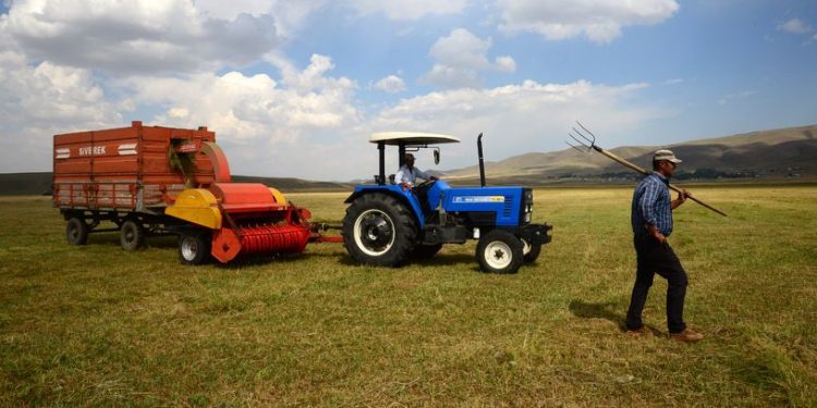 تضخم المنتجات الزراعية  في تركيا يسجل مستوى قياسيًا