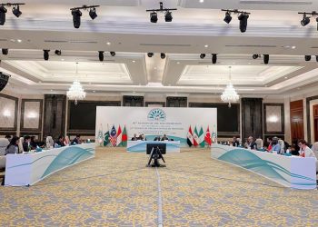 بمشاركة أردوغان وبزشكيان.. مصر تستضيف قمة الدول الثماني