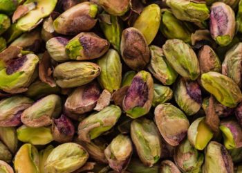 تركيا تستعد لاستيراد الفستق الحلبي