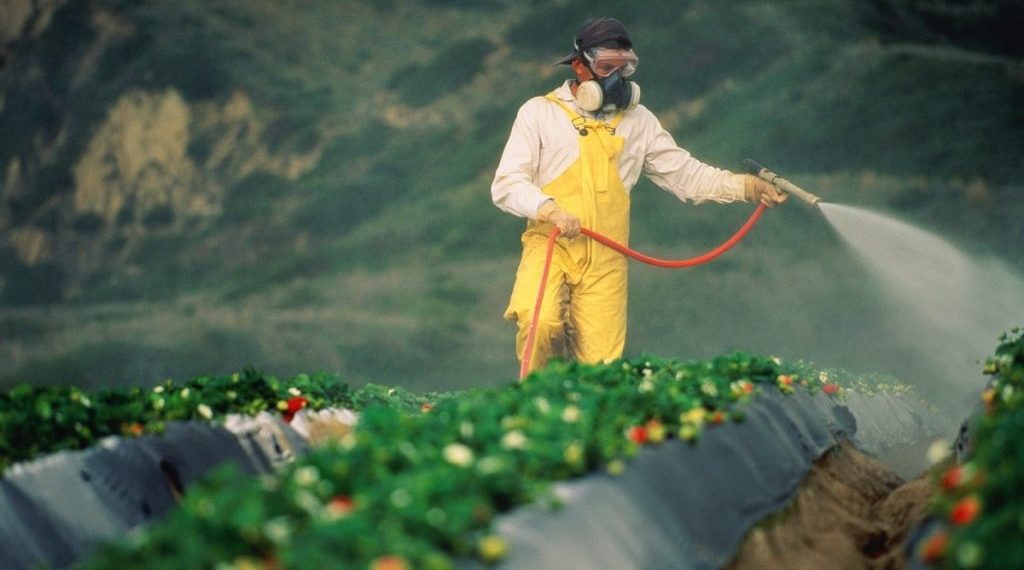 تركيا ثاني أكثر دولة صادراتها الزراعية إلى أوروبا ملوثة بالمبيدات