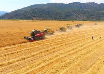 ارتفاع مؤشر أسعار المنتجين الزراعيين بنسبة 2.74%