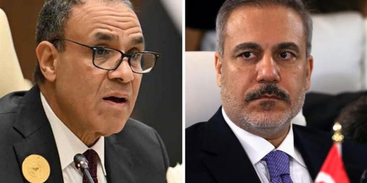 وزيرا خارجية مصر وتركيا يبحثان جهود استعادة وقف النار في غزة
