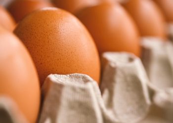 زيادة أسعار البيض في تركيا بنسبة 100% خلال 4 أشهر