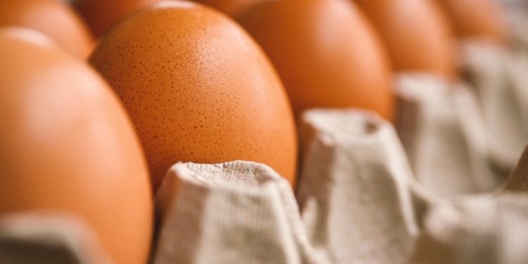 زيادة أسعار البيض في تركيا بنسبة 100% خلال 4 أشهر