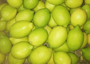 تركيا تعلق تصدير الليمون
