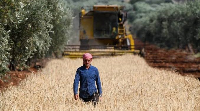 إنعاش القرى اقتصاديا