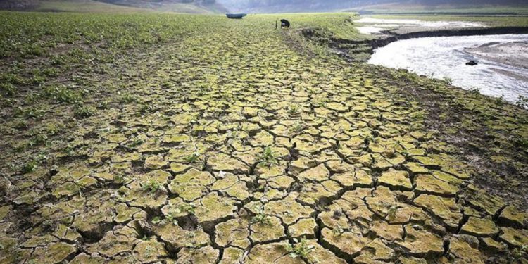 الحر الشديد يؤثر سلبا على إنتاج الحبوب الشتوية في تركيا