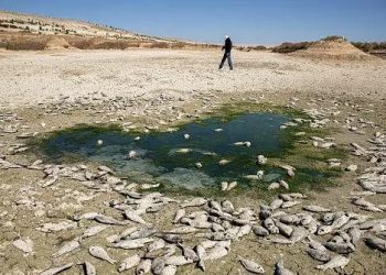 تقرير أممي يحذر: التصحر يهدد 88% من مساحة تركيا