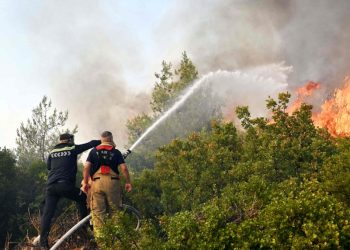 21 معتقلاً بسبب حرائق الغابات في بورصة