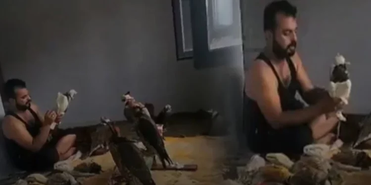 تركيا.. القبض على زعيم “عصابة صيد الطيور” للأثرياء العرب