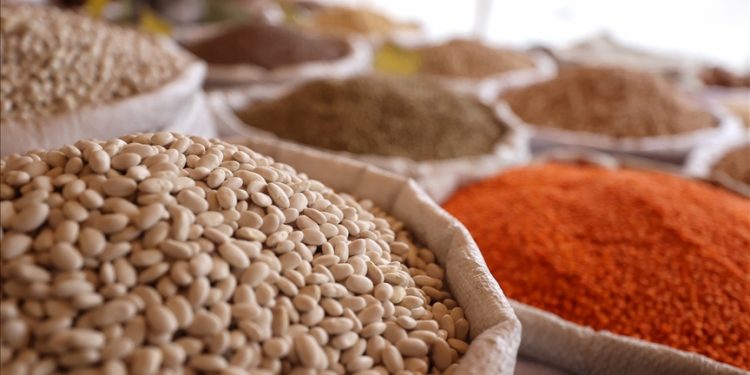 صادرات يوليو من الحبوب والبقوليات التركية ترتفع بنسبة 13%