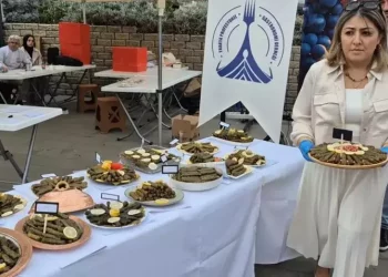 مسابقة لأفضل ورق عنب محشو في تركيا