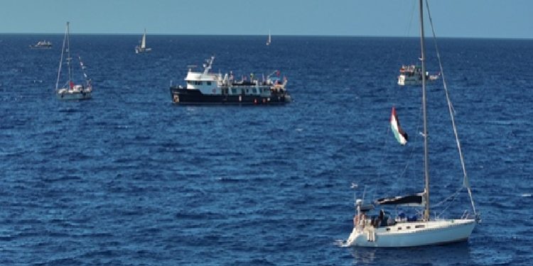 الدفاع التركية: سفينتين حربيتين ترافقان أسطول الصمود