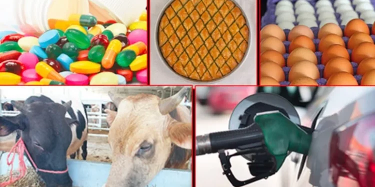 خبير: تركيا ستعاني من زيادة في الضرائب عام 2026