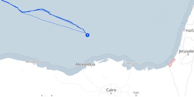 بعد اعتراض أسطول الصمود.. أسطول الحرية يقترب من غزة