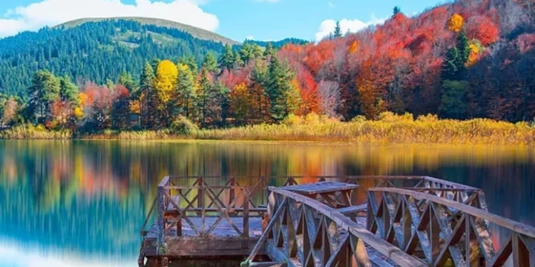 تركيا.. مشروع قانون لاستغلال المتنزهات يثير الجدل