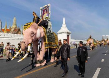 مسيرة بالأفيال الوردية تكريما للملكة الأم الراحلة في تايلاند
