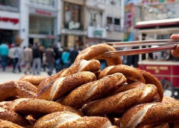 عتبة الجوع للأسرة في تركيا 27 ألف ليرة