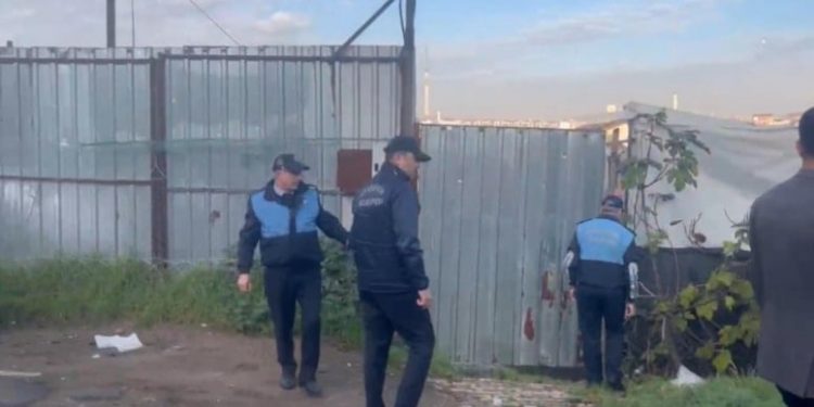 ضبط مسلخ لذبح الحمير في قلب إسطنبول!