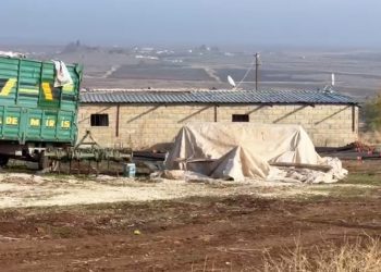 تركيا.. “مزرعة” سرية لتعدين عملات مشفرة داخل حظيرة أغنام!