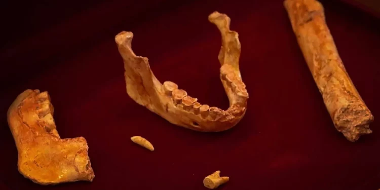 اكتشاف حفريات بشرية في المغرب تعود لـ 773 ألف عام