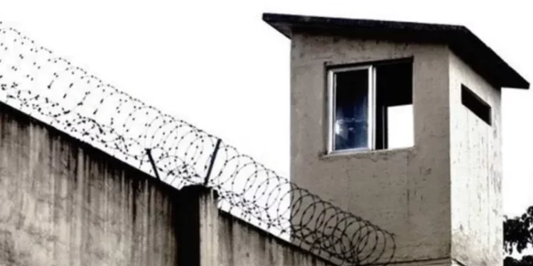 سجون تركيا في “دائرة الخطر”.. اكتظاظ قياسي يهدد حقوق الإنسان