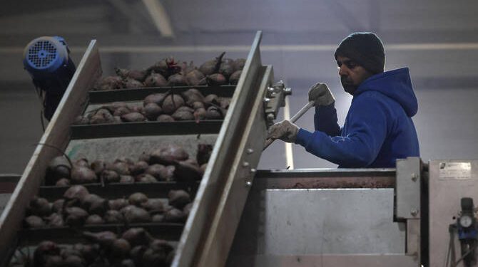 روسيا تلجأ إلى العمالة الهندية