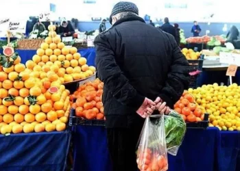 سياسي تركي: المتقاعدون المنافس الأشرس لأردوغان وليس المعارضة