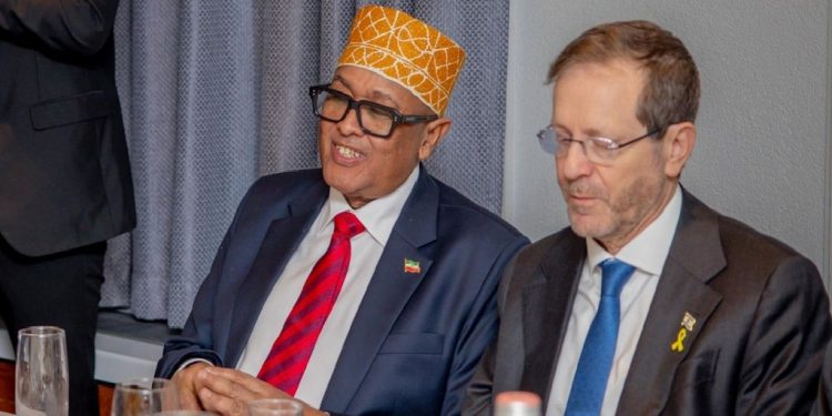 أرض الصومال: قد نمنح قواعد عسكرية للولايات المتحدة وإسرائيل