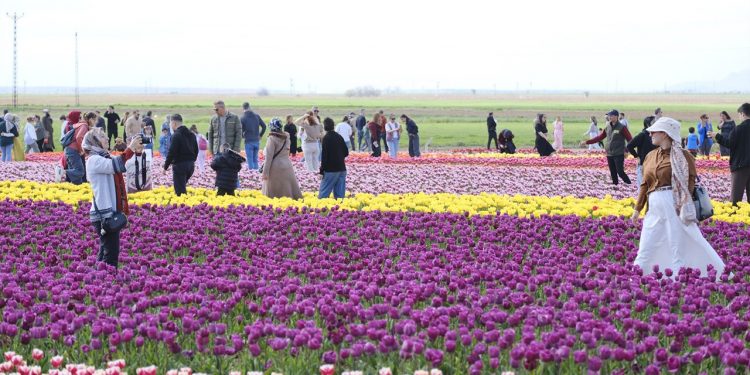 400 ألف زائر يودعون “أكبر حقل زهور” في تركيا