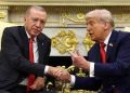 لقاء مرتقب بين أردوغان وترامب قريبًا