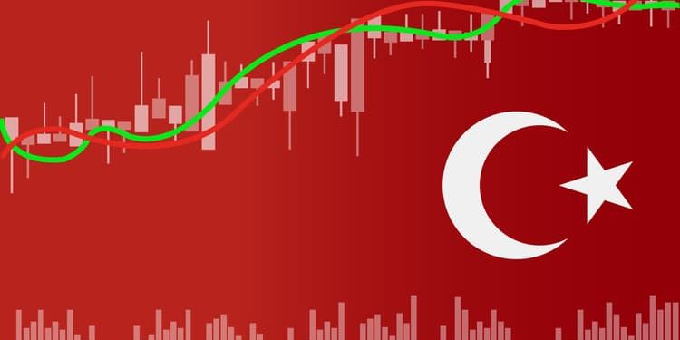بنوك أمريكية تتوقع تباطؤاً في نمو الاقتصاد التركي