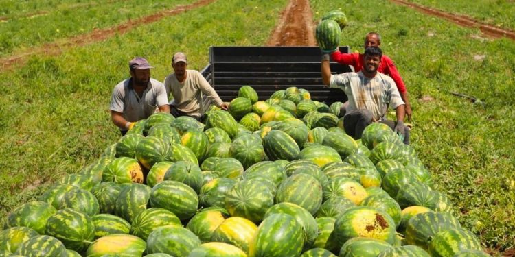 بلدة تركمانية تستقبل عدد زوار يفوق سكانها 30 مرة