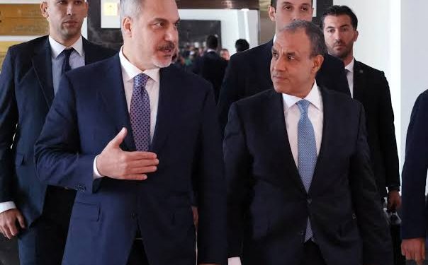 وزيرا خارجية مصر وتركيا يبحثان تفعيل الآلية الرباعية مع باكستان والسعودية