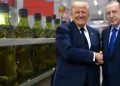 برلماني ينتقد فرض رسوم أمريكية على زيت الزيتون التركي رغم إعفاء التونسي