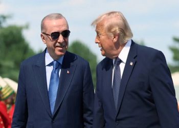 أردوغان يتباحث هاتفيا مع ترامب
