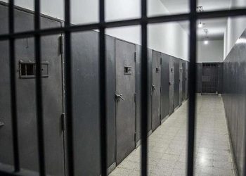 هل تفرج تركيا عن 4000 من سجناء “الكردستاني” بالمرحلة الأولى؟