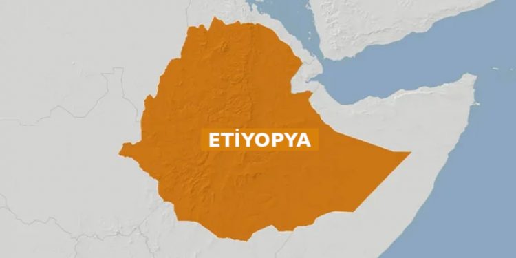 7 جماعات مسلحة تعلن التحالف في أثيوبيا للإطاحة بالحكومة